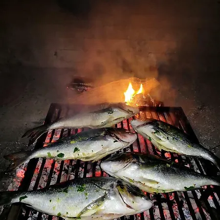 Karlo Guest house 3*